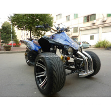 Hot New 3 Wheel 250cc ATV Quad (Wv-ATV-031) with Sun F Tires